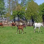 Szálloda Les Manoirs De Tourgeville Deauville