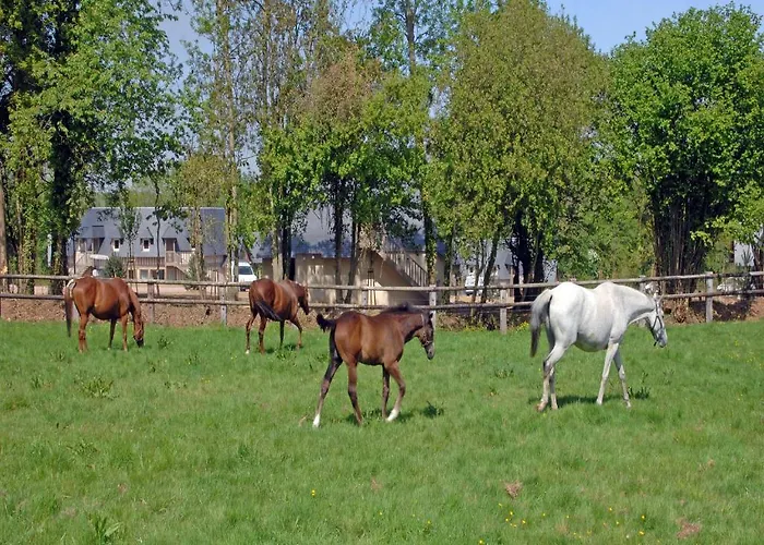 Отель Les Manoirs De Tourgeville Довиль